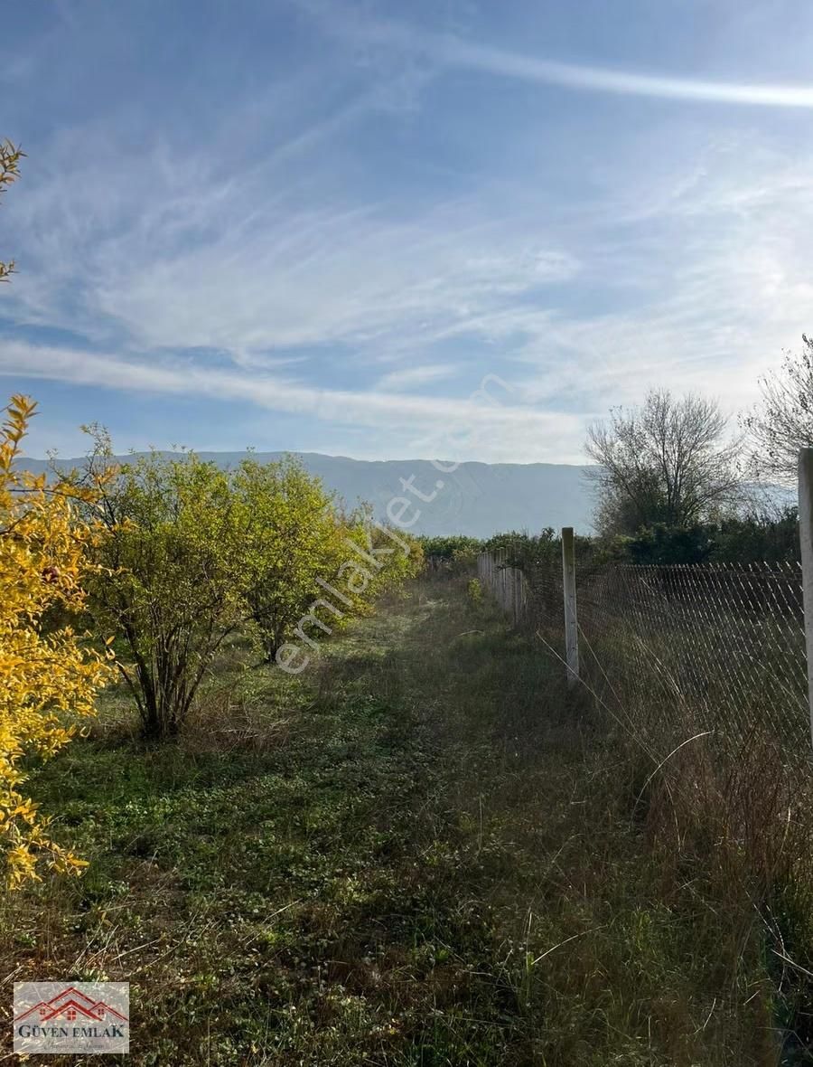 Hamzallı Da 7 Dönüm Tarla İçerisin De Satılık Müstakil Bahçe Evi - Görsel 8