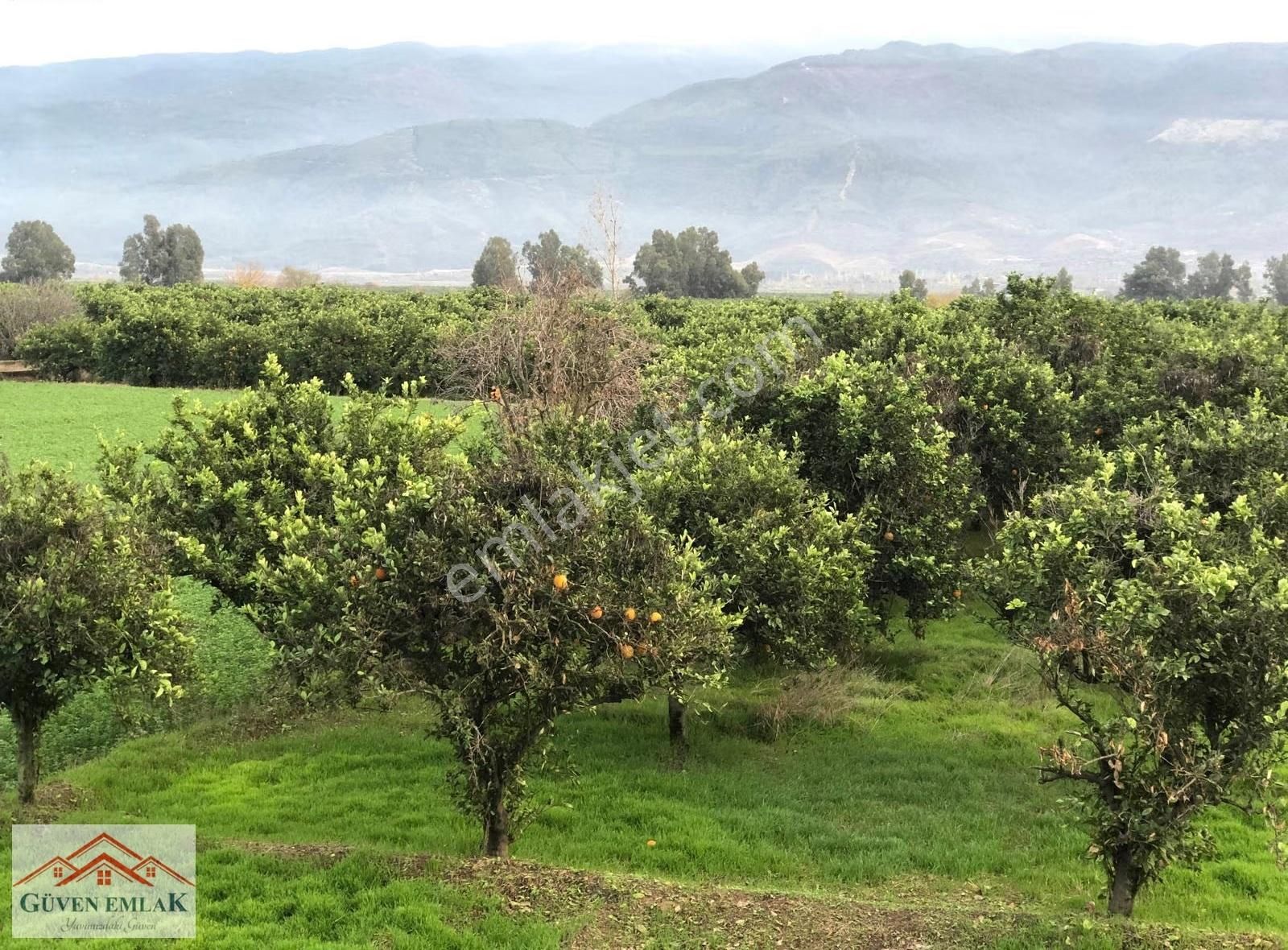 Hamzallı Da 7 Dönüm Tarla İçerisin De Satılık Müstakil Bahçe Evi - Görsel 25