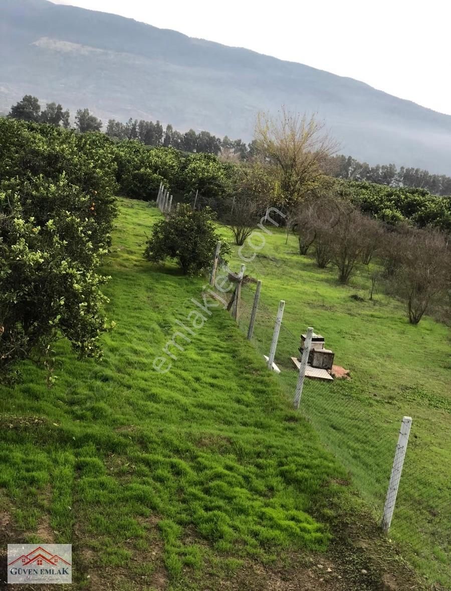 Hamzallı Da 7 Dönüm Tarla İçerisin De Satılık Müstakil Bahçe Evi - Görsel 29