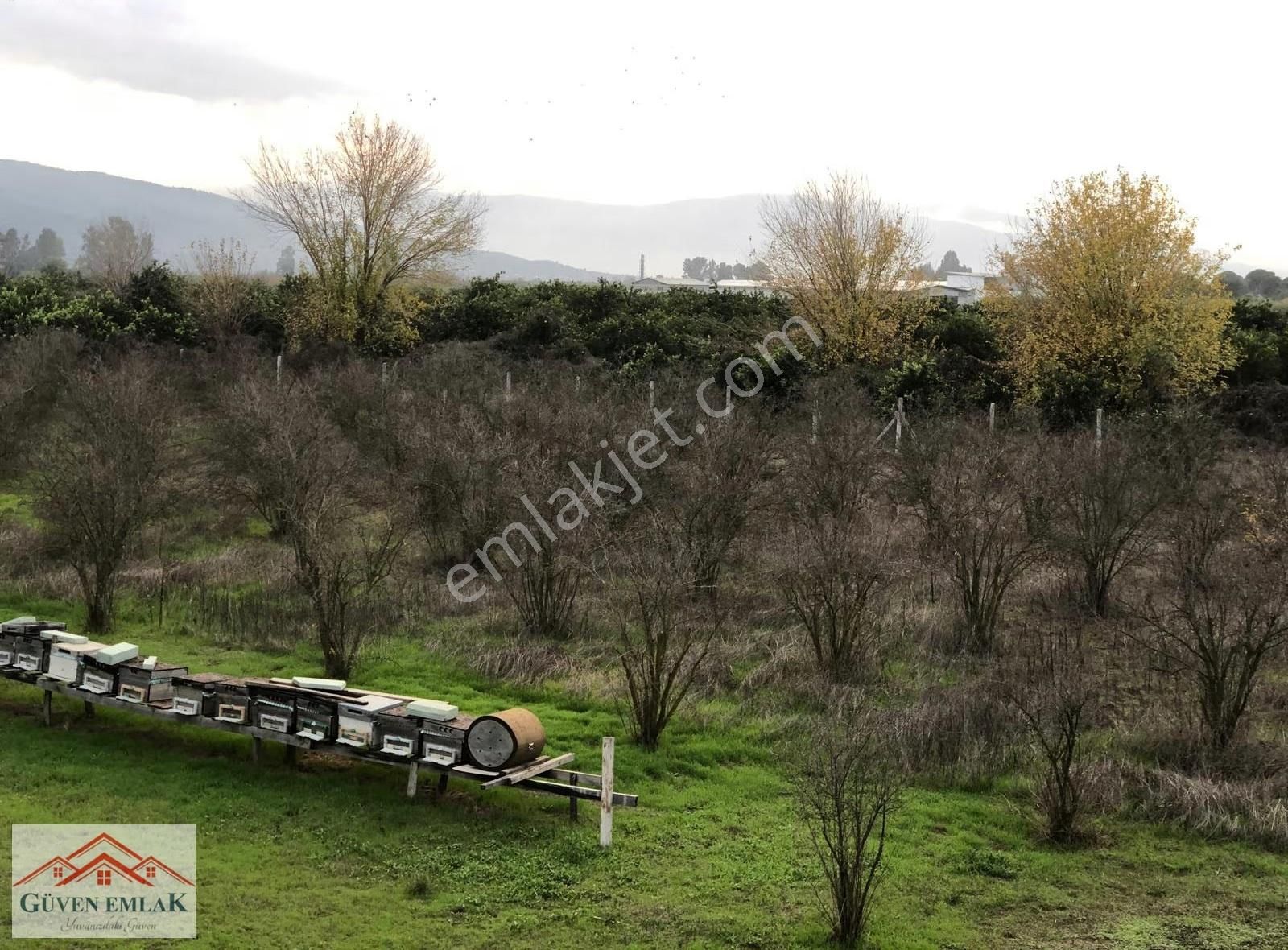 Hamzallı Da 7 Dönüm Tarla İçerisin De Satılık Müstakil Bahçe Evi - Görsel 4