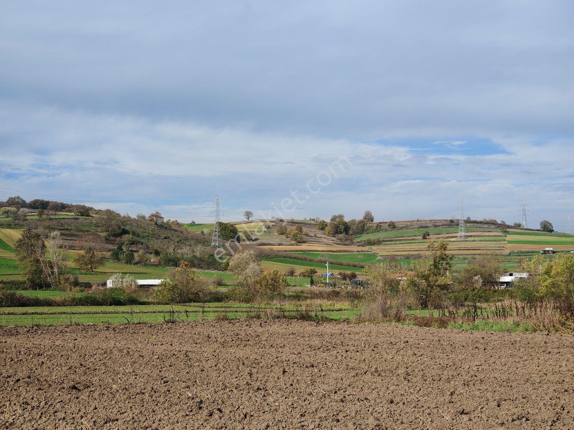 Remax Mavi'den Adapazarı Kayrancıkta 2777 M2 Satılık Tarla - Görsel 17