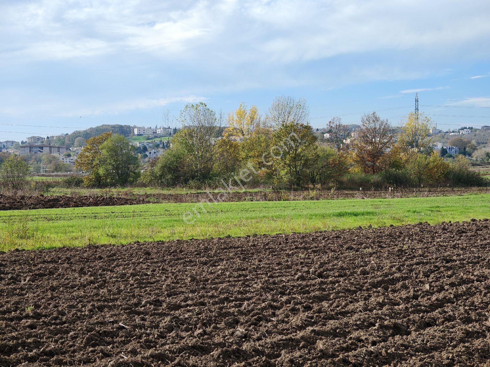 Remax Mavi'den Adapazarı Kayrancıkta 2777 M2 Satılık Tarla - Görsel 9