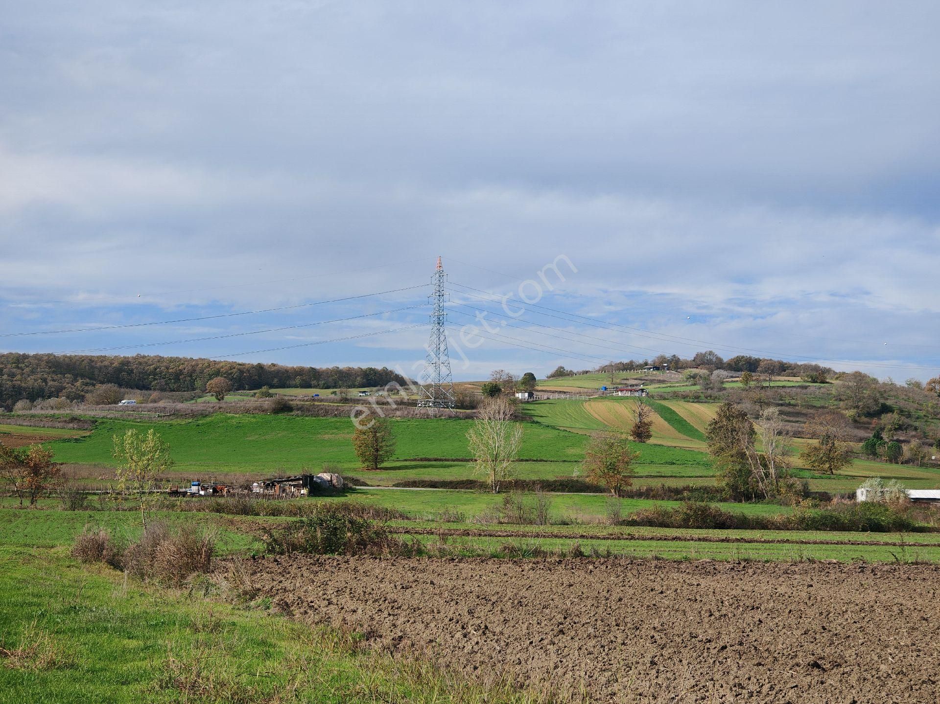 Remax Mavi'den Adapazarı Kayrancıkta 2777 M2 Satılık Tarla - Görsel 18