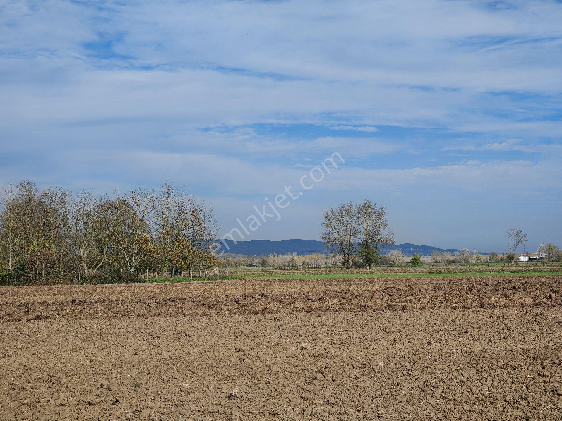 Remax Mavi'den Adapazarı Kayrancıkta 2777 M2 Satılık Tarla - Görsel 25