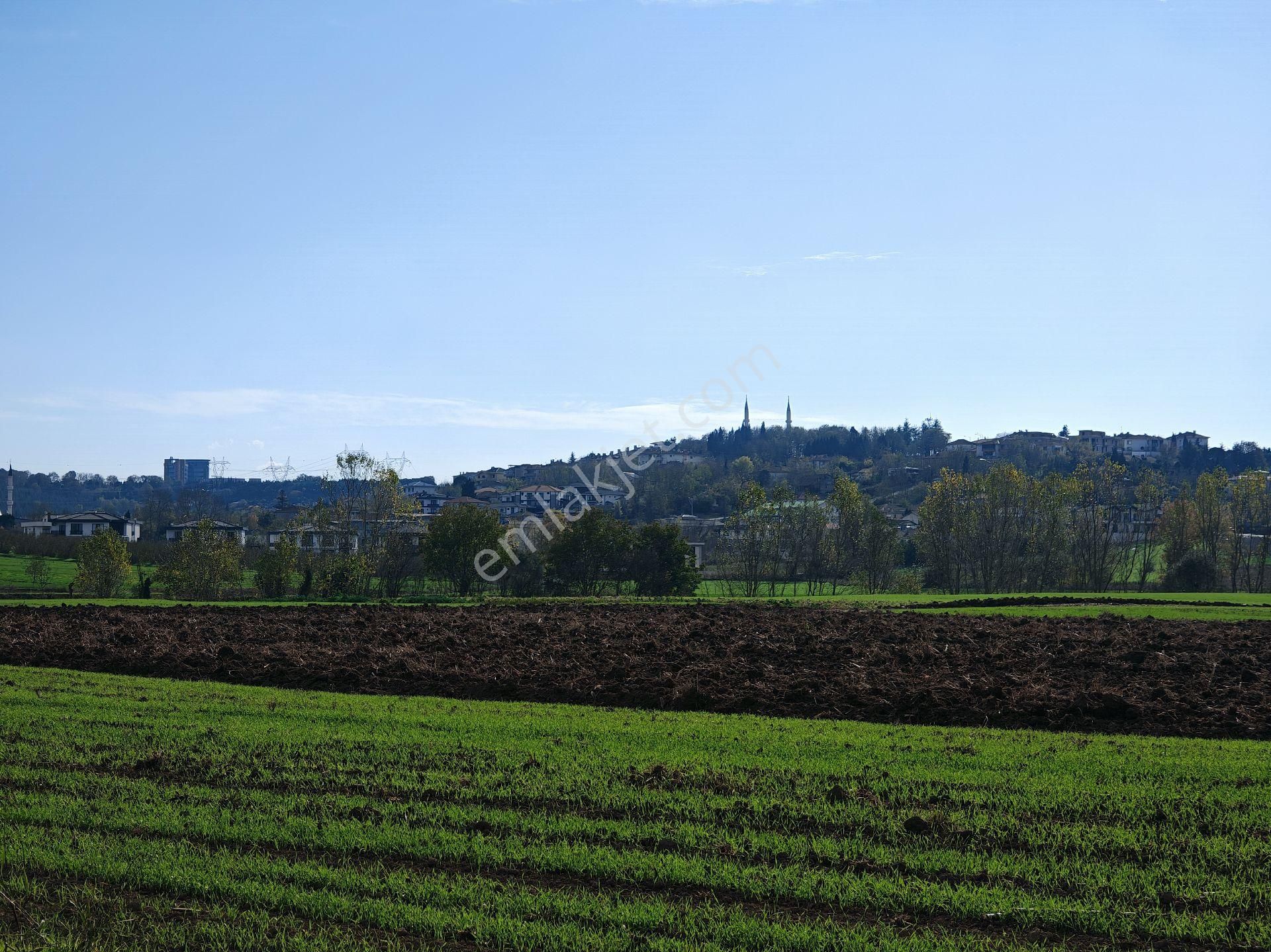 Remax Mavi'den Adapazarı Kayrancıkta 2777 M2 Satılık Tarla - Görsel 21