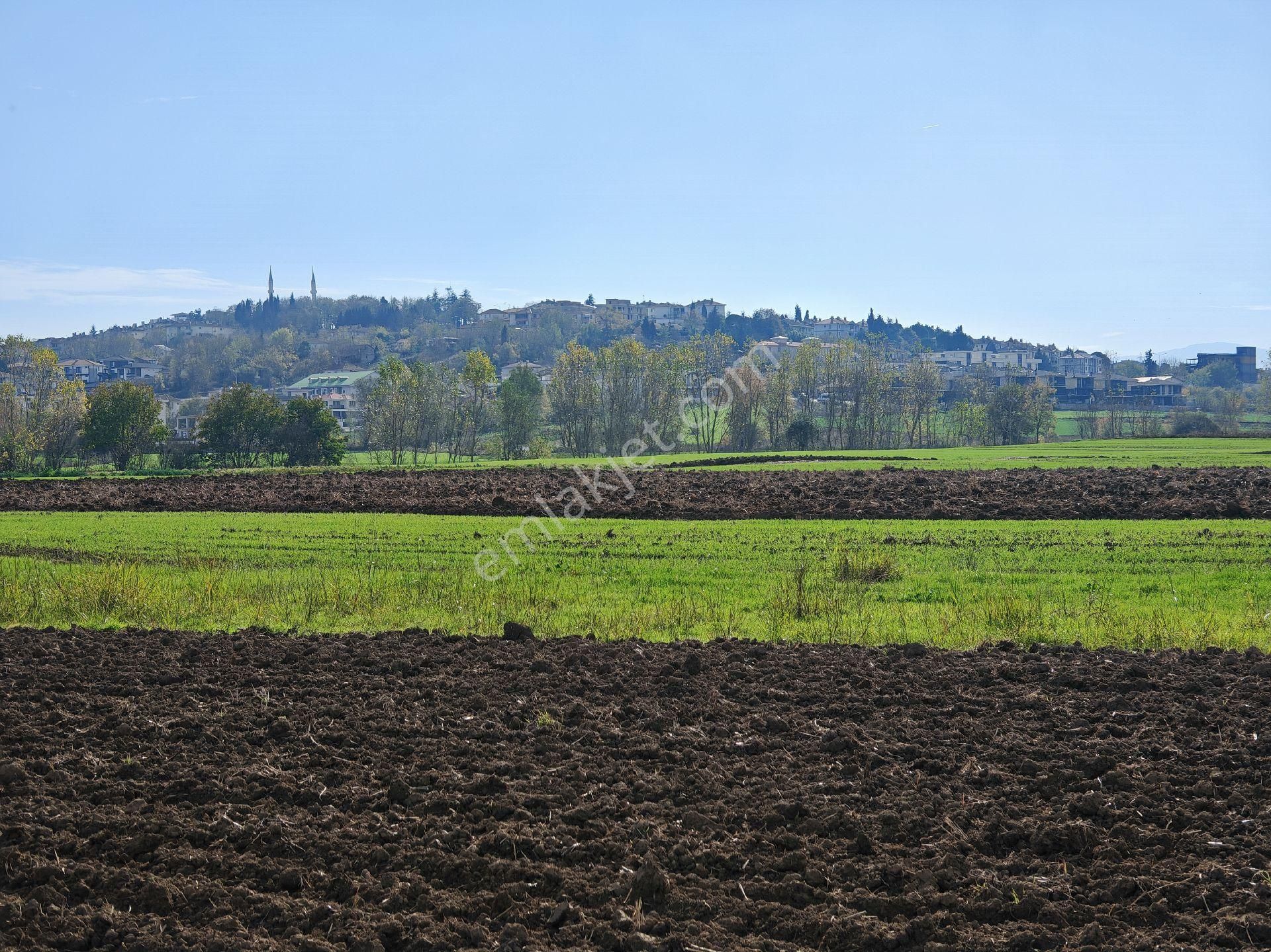 Remax Mavi'den Adapazarı Kayrancıkta 2777 M2 Satılık Tarla - Görsel 11