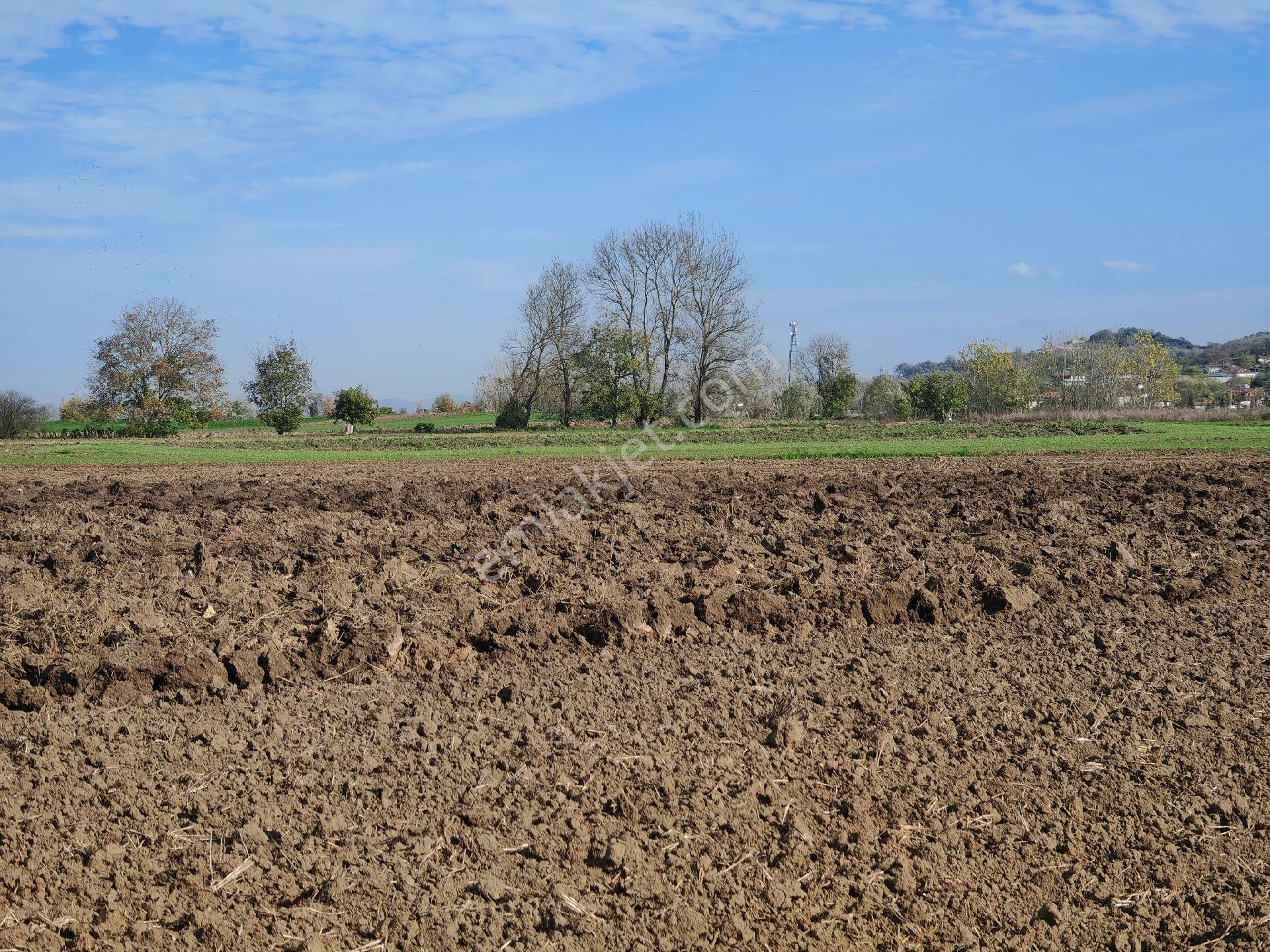 Remax Mavi'den Adapazarı Kayrancıkta 2777 M2 Satılık Tarla - Görsel 14