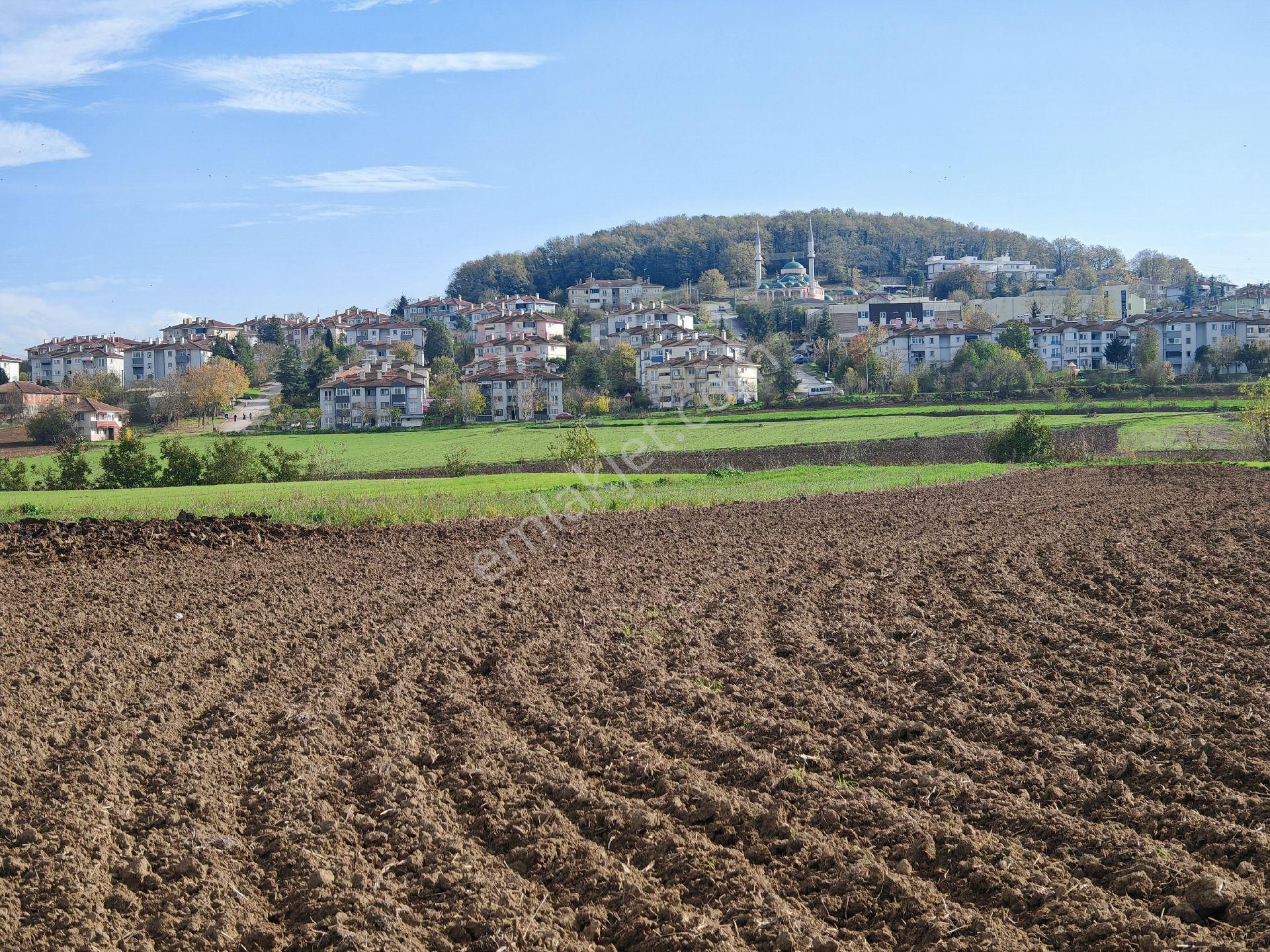 Remax Mavi'den Adapazarı Kayrancıkta 2777 M2 Satılık Tarla