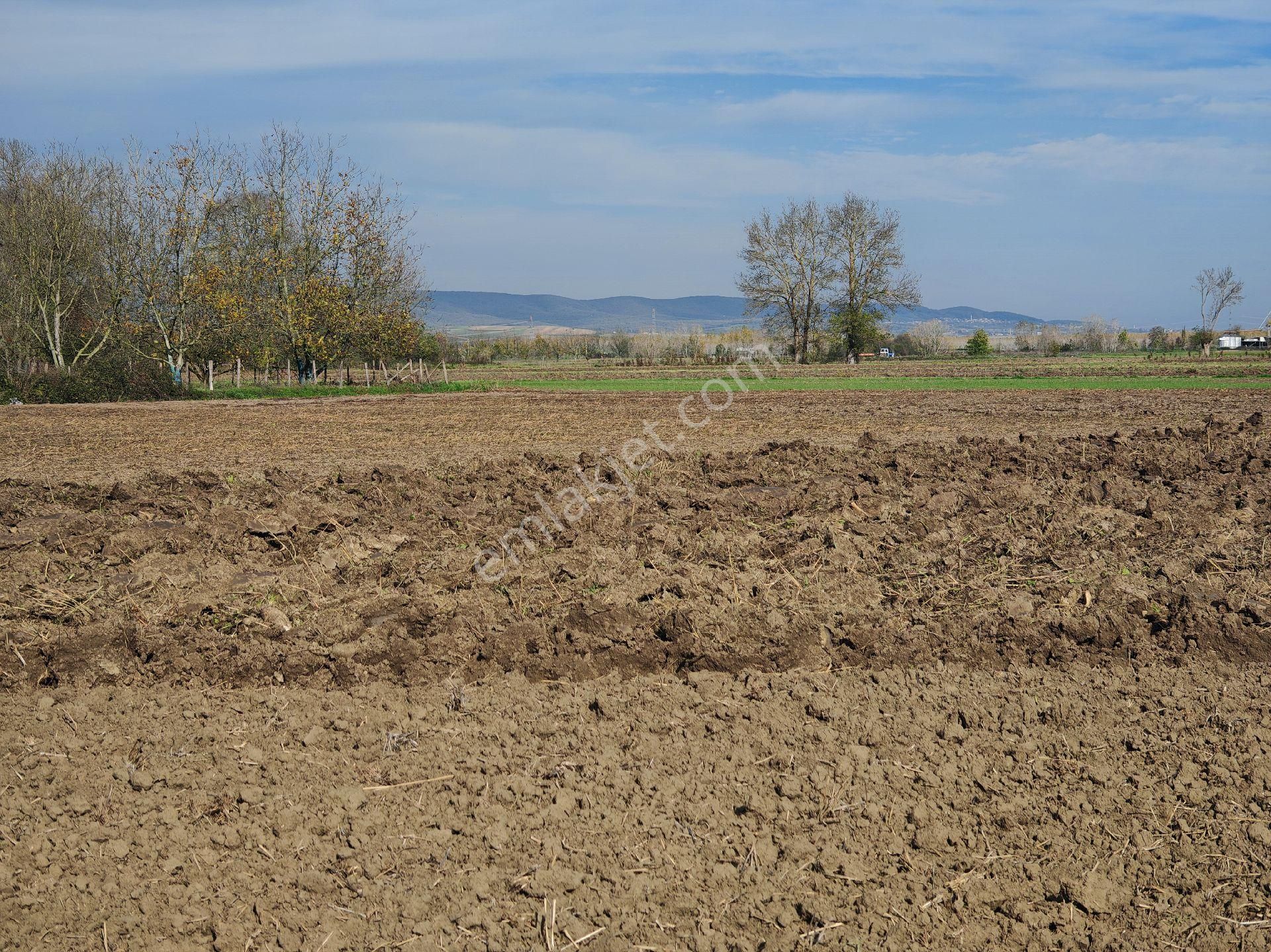 Remax Mavi'den Adapazarı Kayrancıkta 2777 M2 Satılık Tarla - Görsel 15