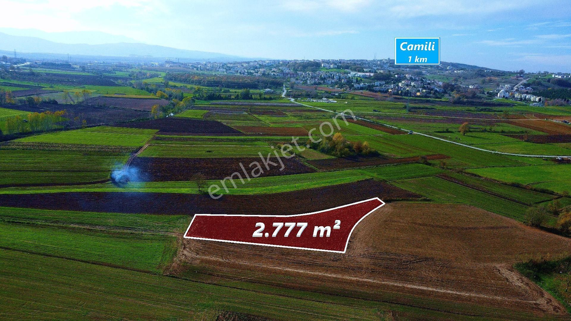 Remax Mavi'den Adapazarı Kayrancıkta 2777 M2 Satılık Tarla - Görsel 3