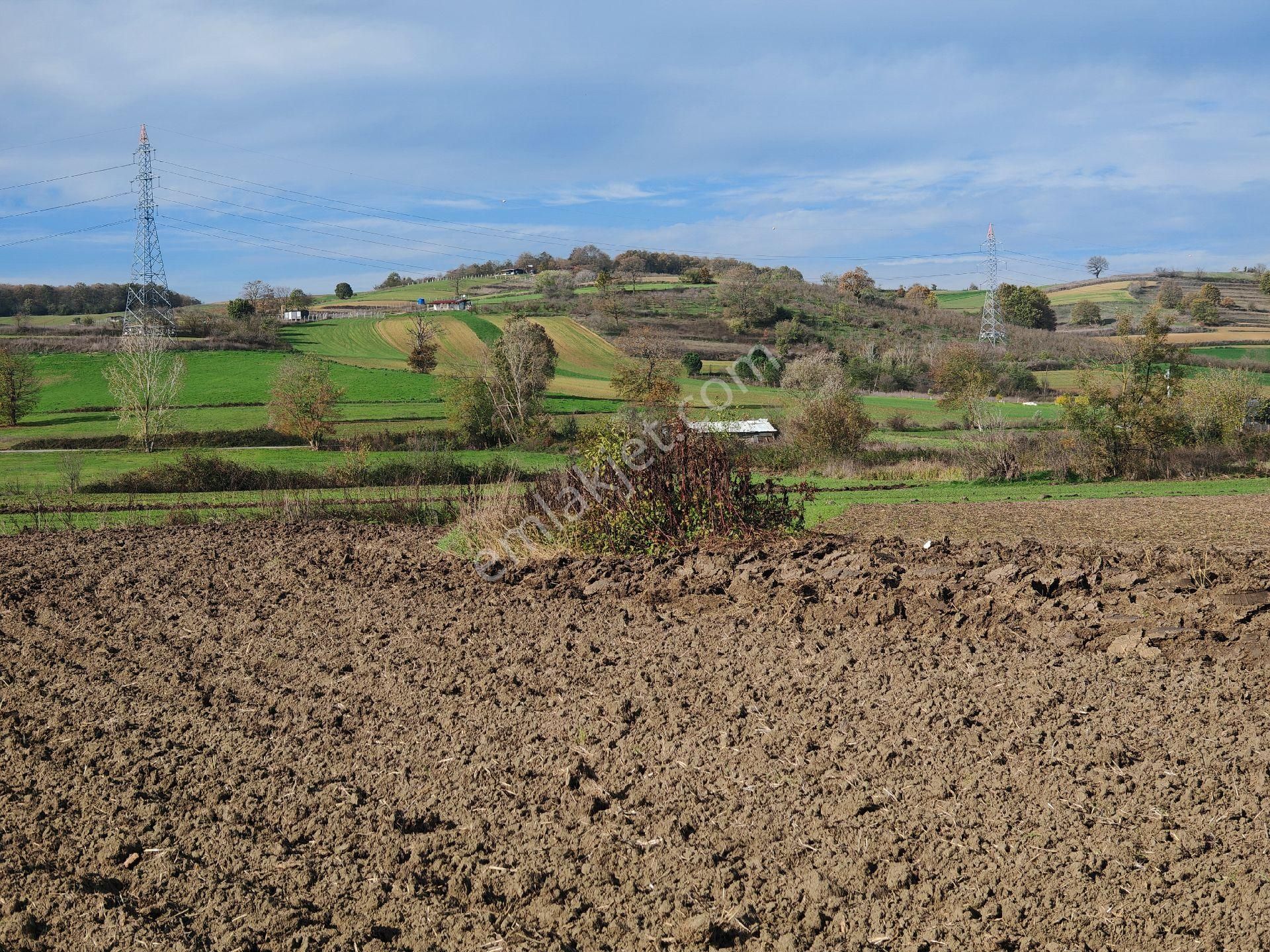 Remax Mavi'den Adapazarı Kayrancıkta 2777 M2 Satılık Tarla - Görsel 7