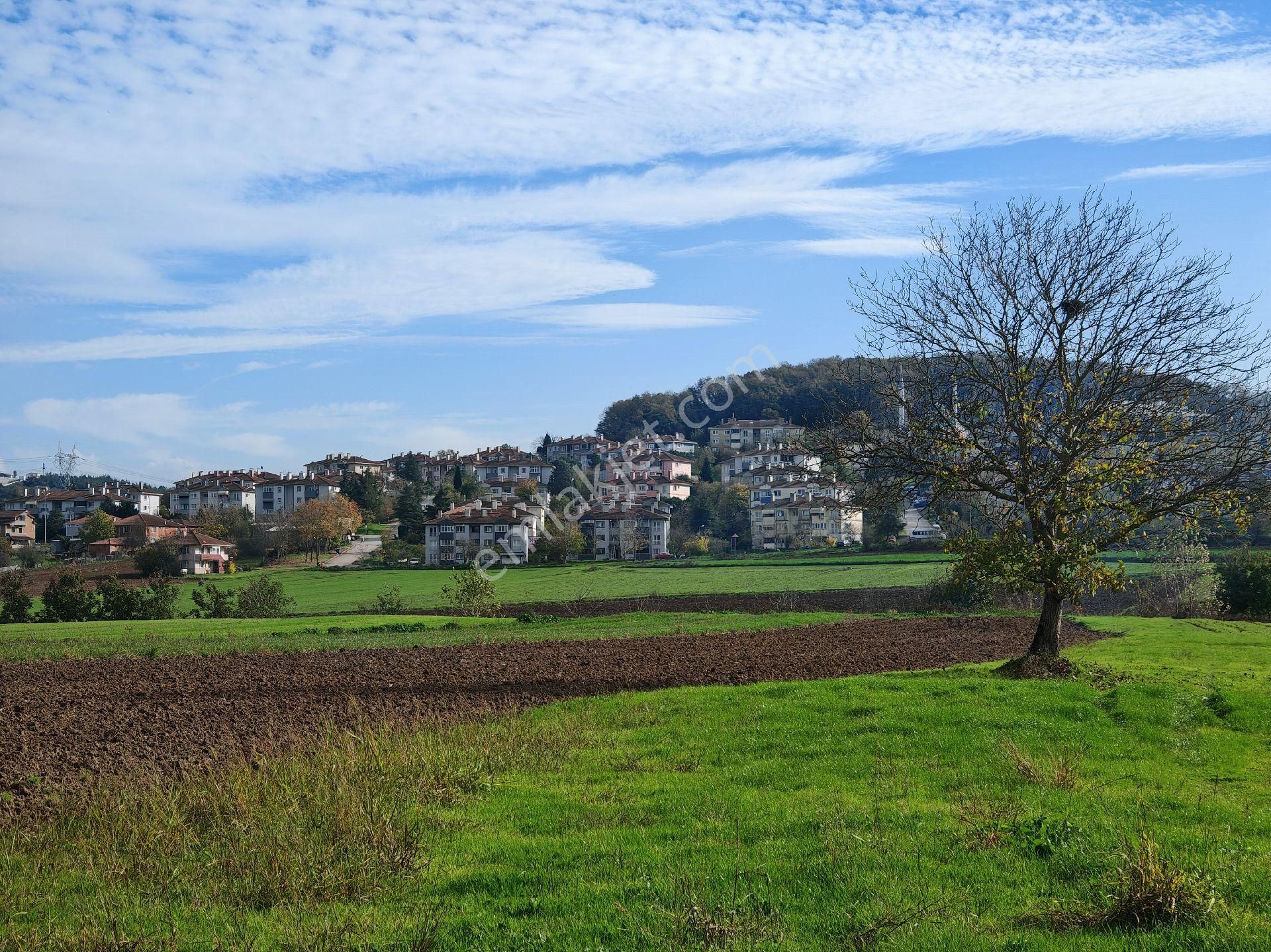 Remax Mavi'den Adapazarı Kayrancıkta 2777 M2 Satılık Tarla - Görsel 22