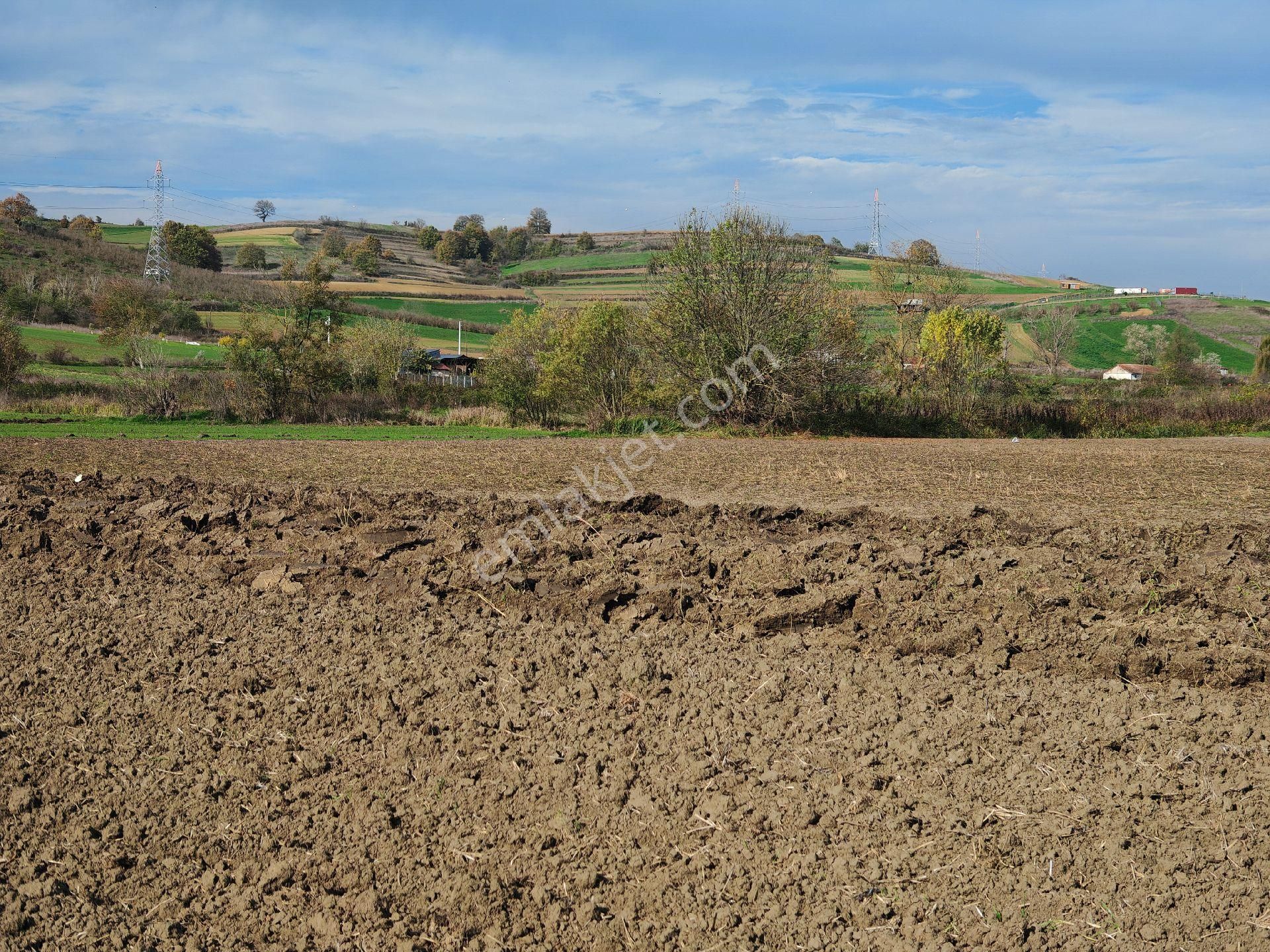 Remax Mavi'den Adapazarı Kayrancıkta 2777 M2 Satılık Tarla - Görsel 16