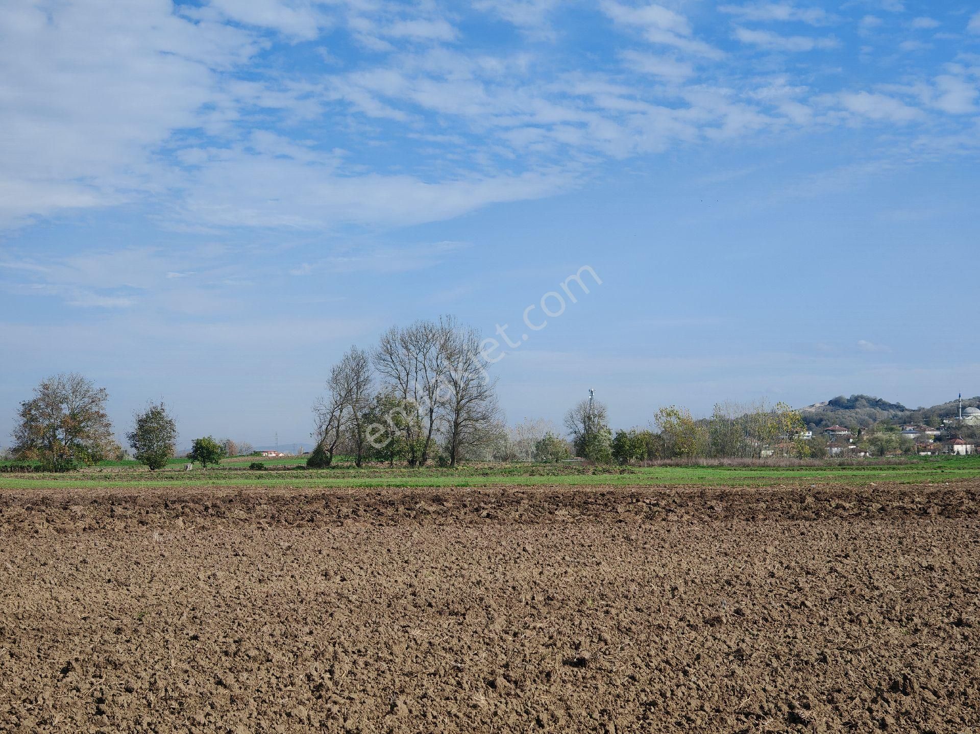 Remax Mavi'den Adapazarı Kayrancıkta 2777 M2 Satılık Tarla - Görsel 24