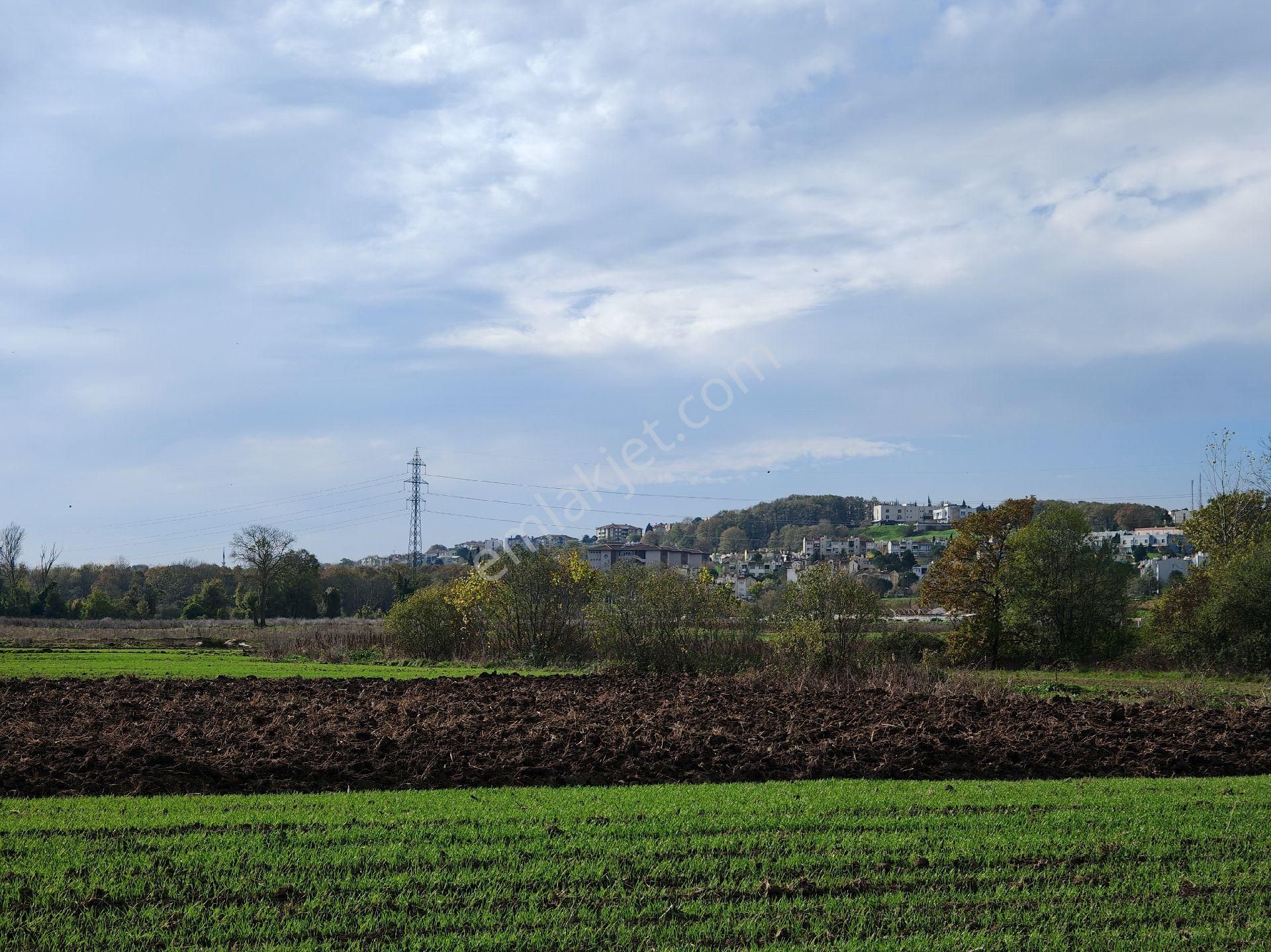 Remax Mavi'den Adapazarı Kayrancıkta 2777 M2 Satılık Tarla - Görsel 20