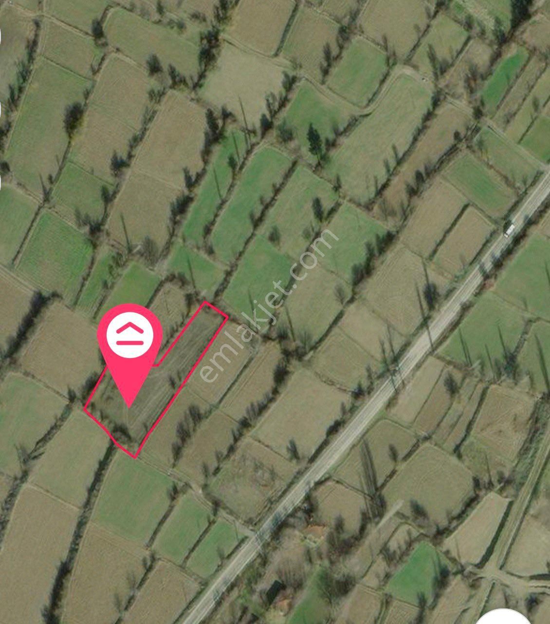 Denizli Acıpayam Kelekçi Asfalta Yakın Satılık Tarla