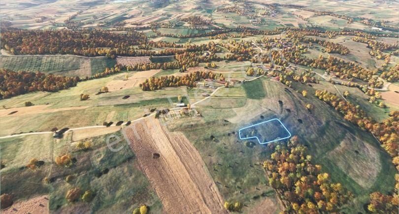 Sakarya/adapazarı 15 Temmuz Mah. 2.196 M² Yatırımlık Tarla - Görsel 9