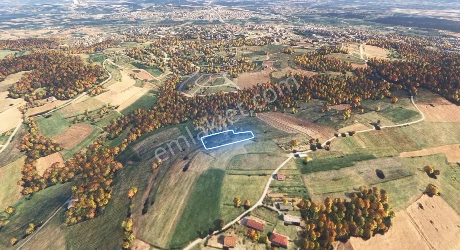 Sakarya/adapazarı 15 Temmuz Mah. 2.196 M² Yatırımlık Tarla - Görsel 6