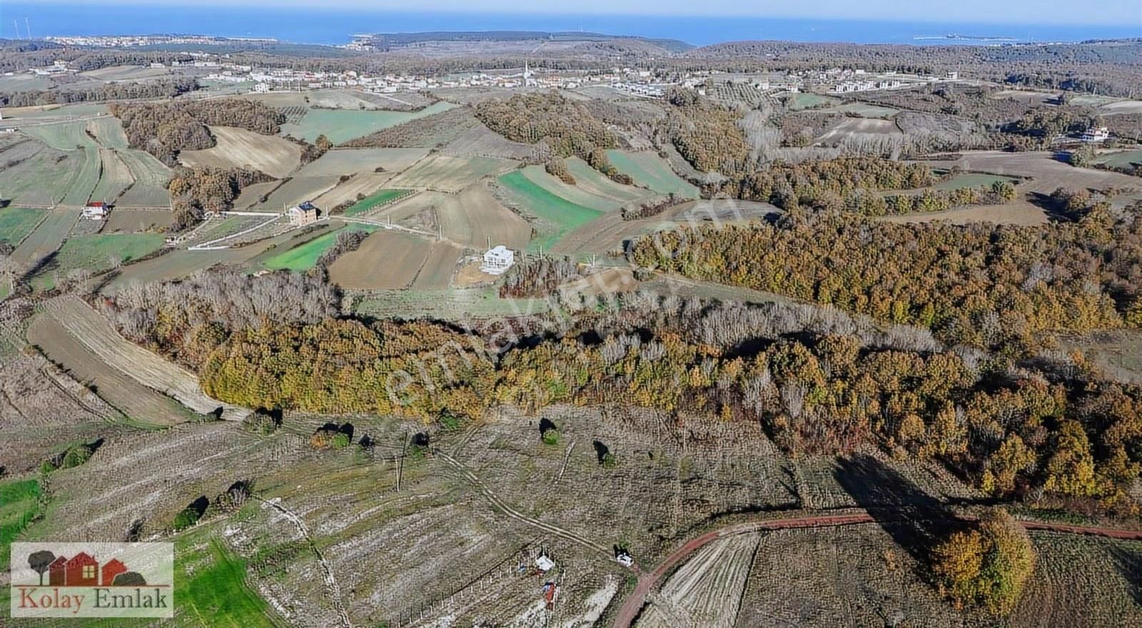 Kocaeli Kefken De Satılık Resmi Yollu 8.068m2 Tarla - Görsel 8