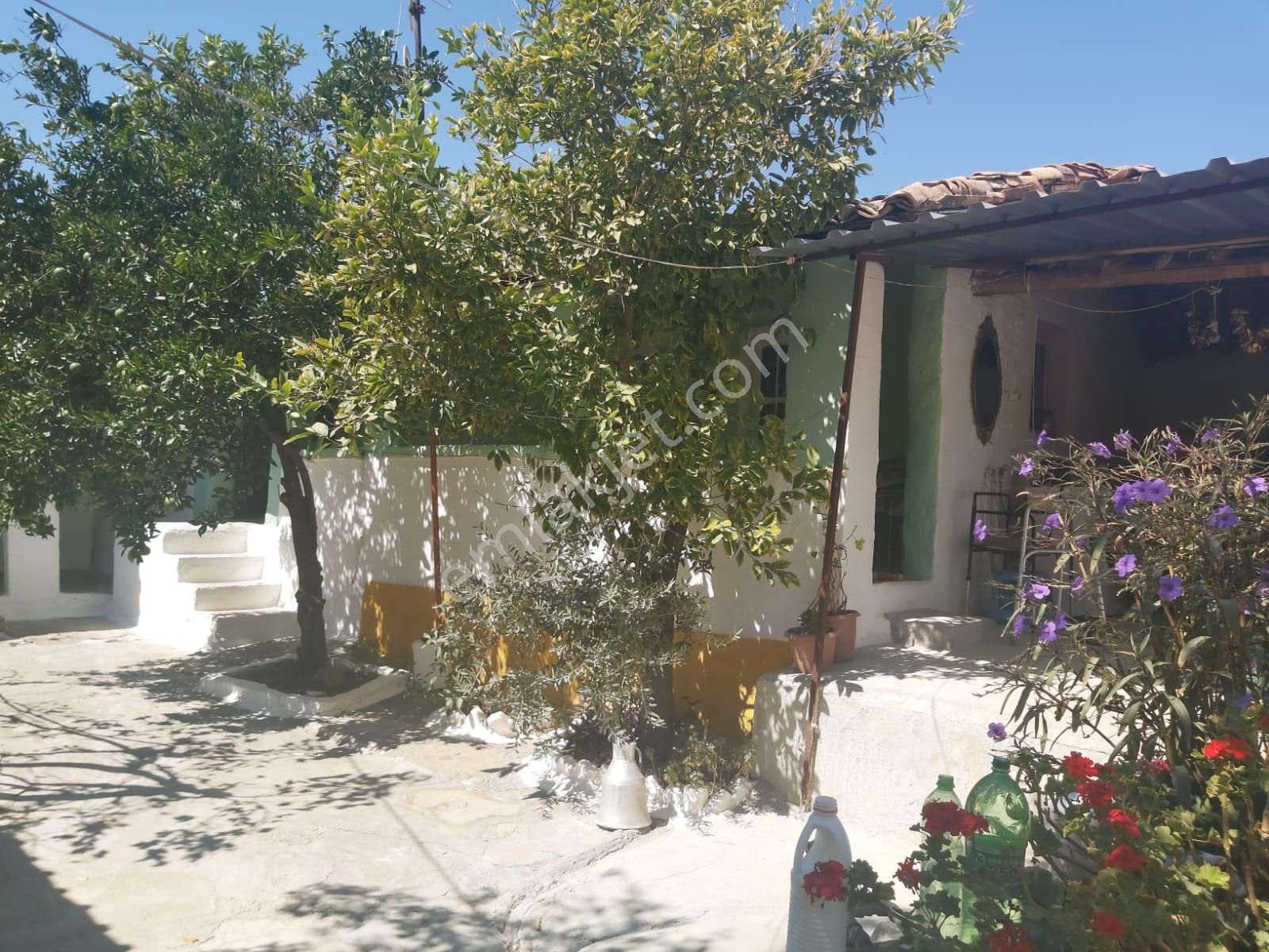 Aydın Germencik Reisköyde Müstakil Satılık Köy Evi - Görsel 18