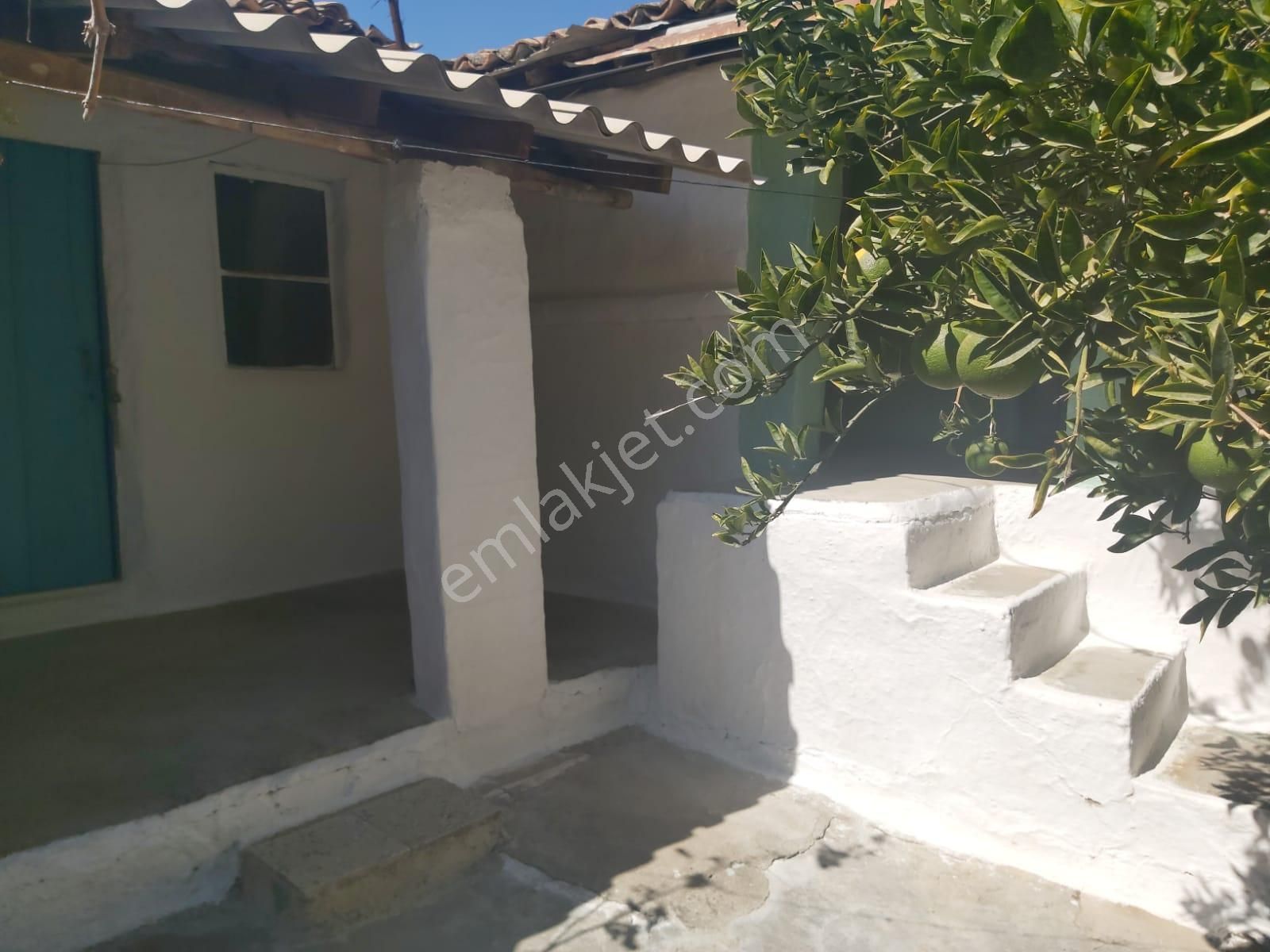 Aydın Germencik Reisköyde Müstakil Satılık Köy Evi - Görsel 15