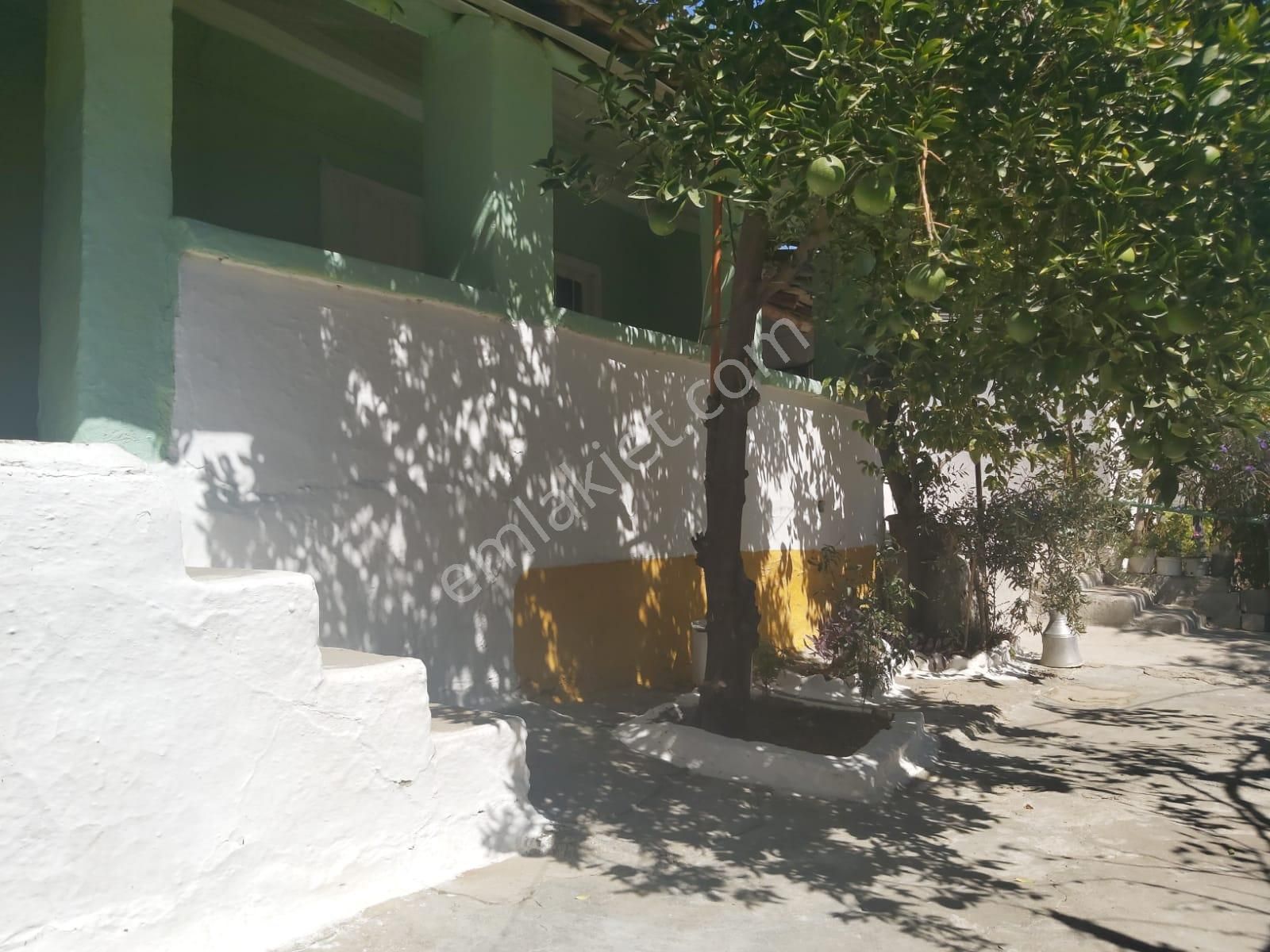 Aydın Germencik Reisköyde Müstakil Satılık Köy Evi - Görsel 20