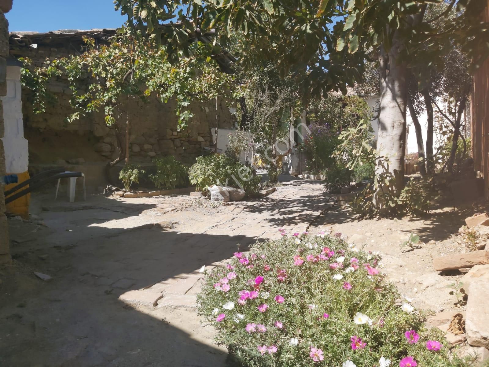 Aydın Germencik Reisköyde Müstakil Satılık Köy Evi - Görsel 28