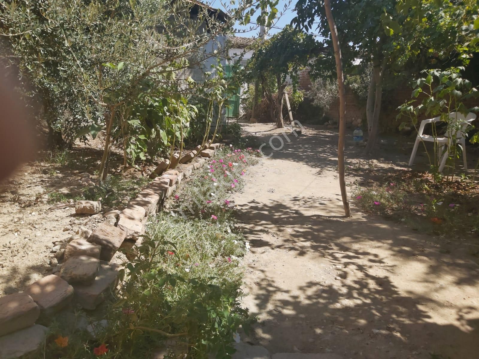 Aydın Germencik Reisköyde Müstakil Satılık Köy Evi - Görsel 23