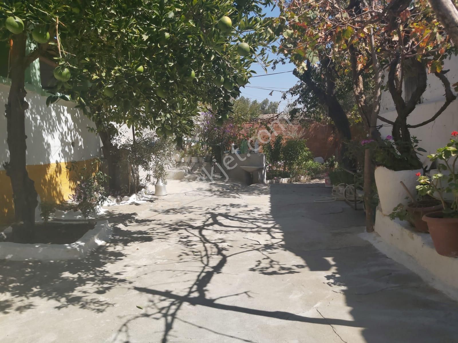 Aydın Germencik Reisköyde Müstakil Satılık Köy Evi - Görsel 17