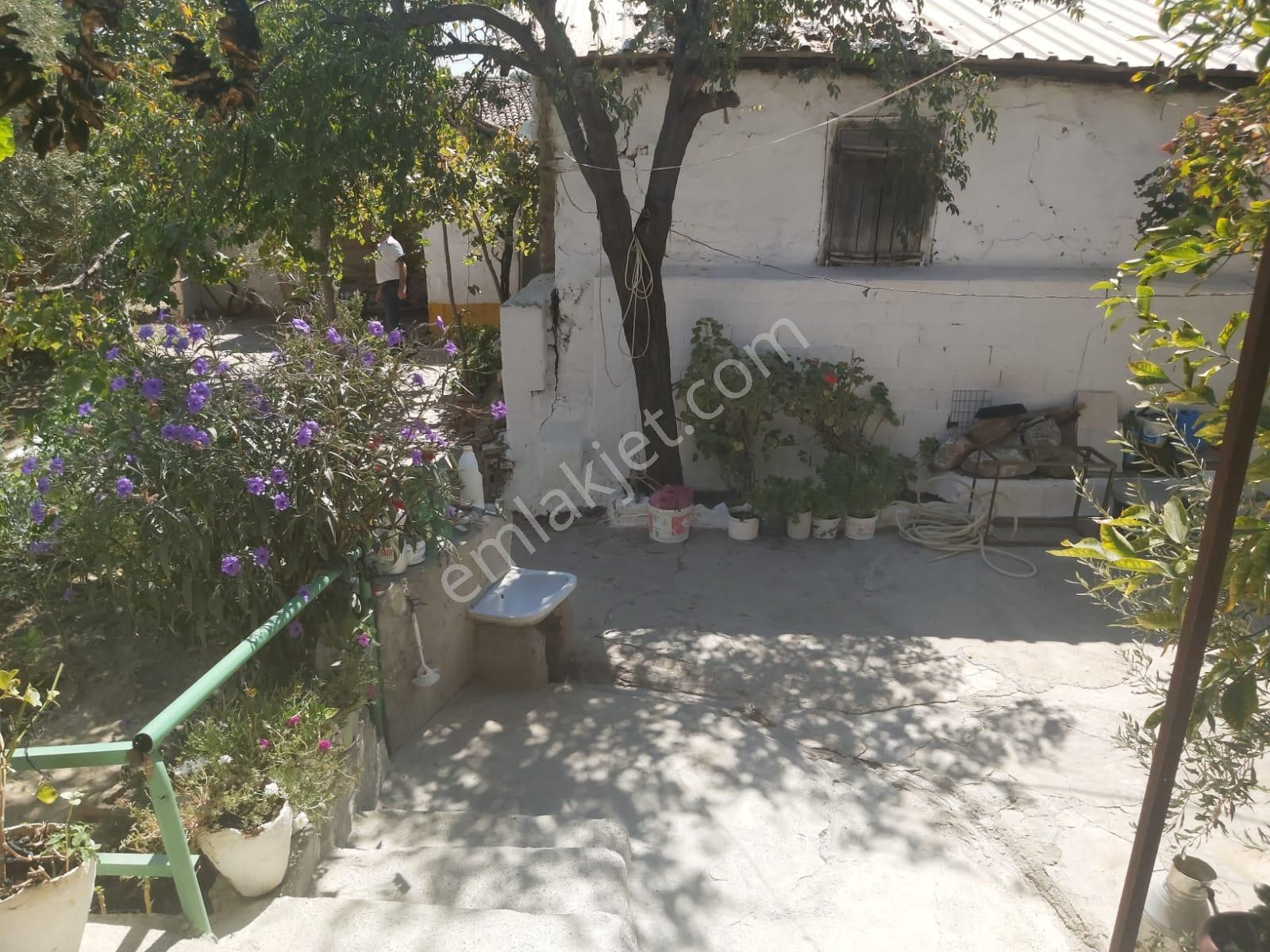 Aydın Germencik Reisköyde Müstakil Satılık Köy Evi - Görsel 6