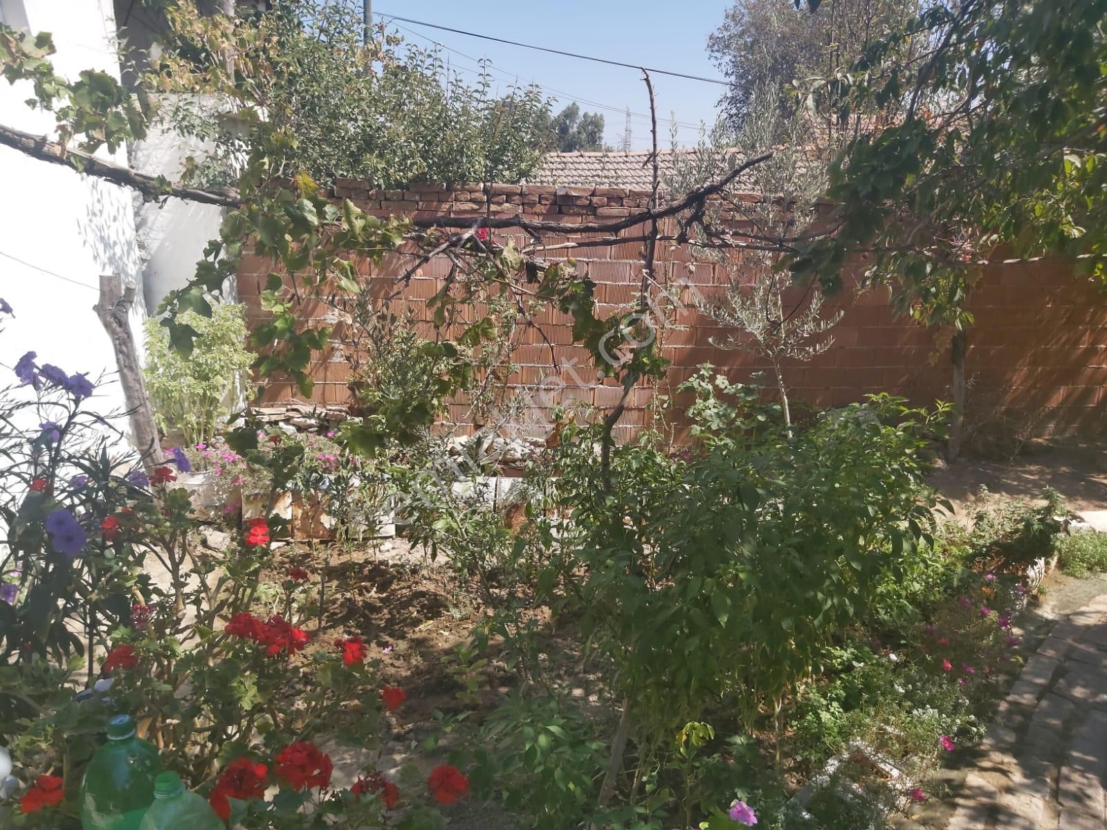 Aydın Germencik Reisköyde Müstakil Satılık Köy Evi - Görsel 25