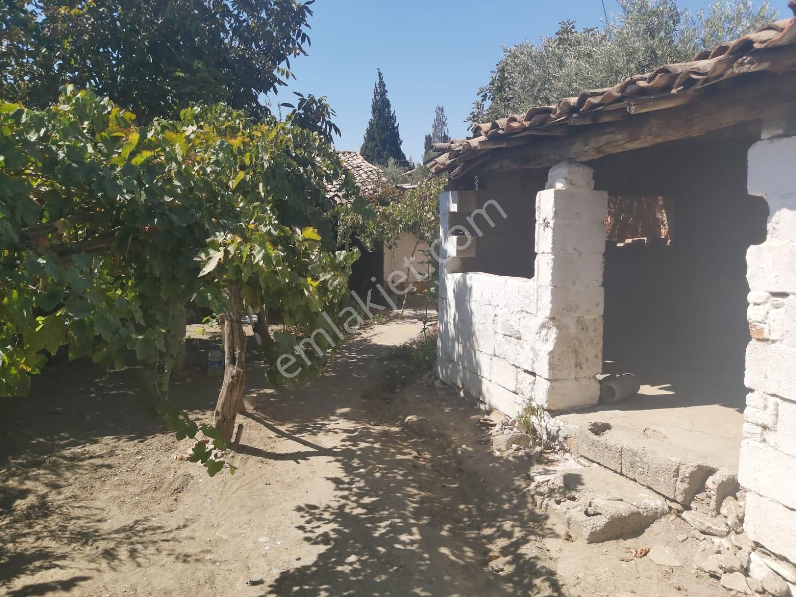 Aydın Germencik Reisköyde Müstakil Satılık Köy Evi - Görsel 27