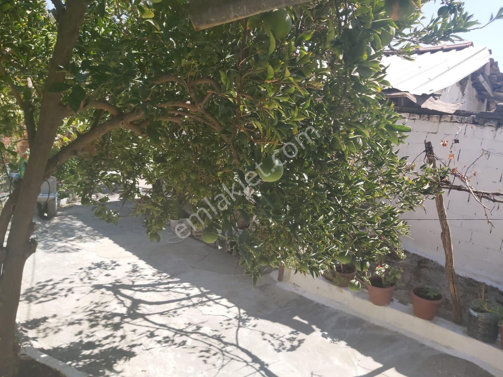 Aydın Germencik Reisköyde Müstakil Satılık Köy Evi - Görsel 16