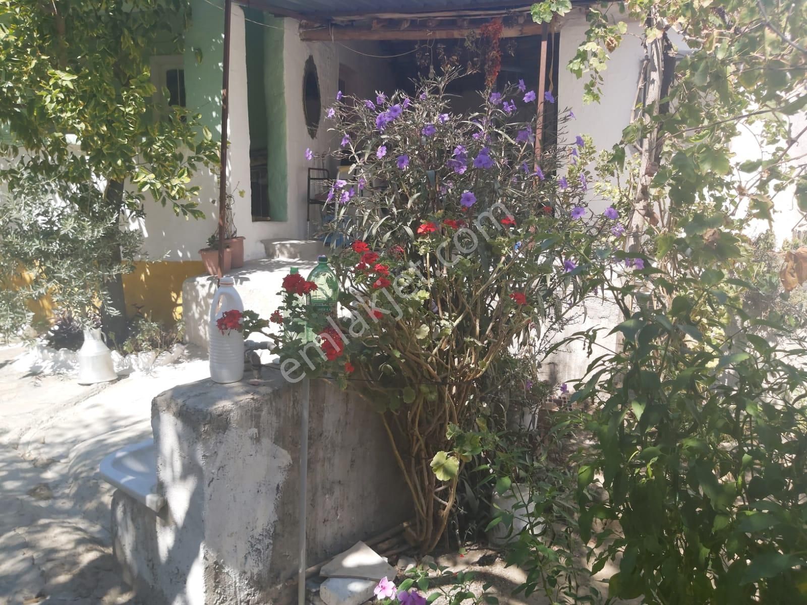 Aydın Germencik Reisköyde Müstakil Satılık Köy Evi - Görsel 19