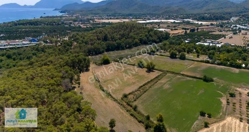 Tekirova'da İmar İçerisinde 13.826 M2 Satılık Tarla - Görsel 3