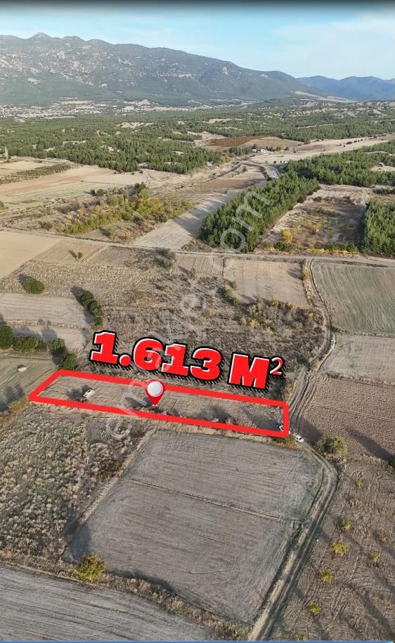 Şahin Emlaktan Denizli Acıpayam Darıveren Mah. 1.613 M² Resmi Yolu Olan Satılık Tarla - Görsel 4