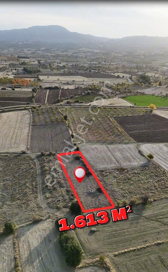 Şahin Emlaktan Denizli Acıpayam Darıveren Mah. 1.613 M² Resmi Yolu Olan Satılık Tarla - Görsel 6