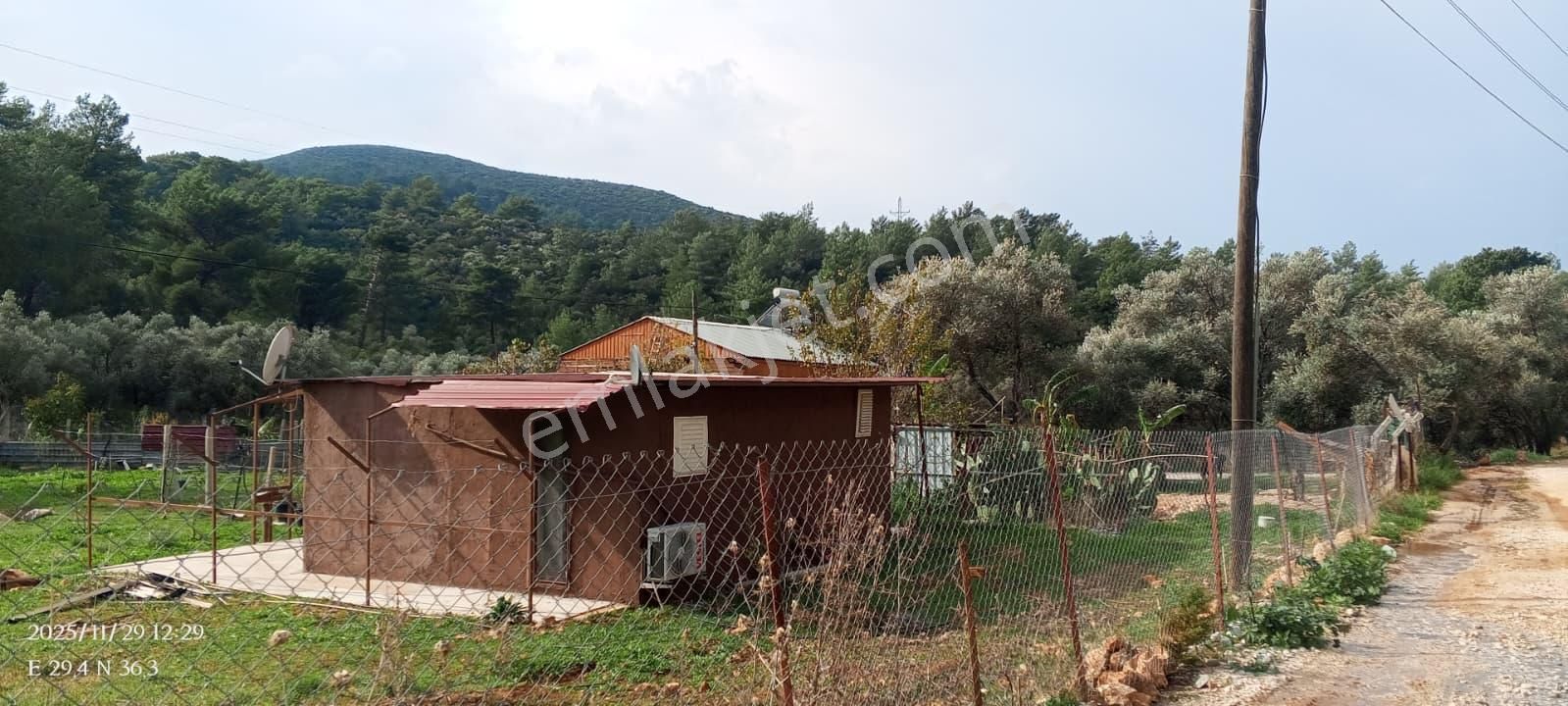 Antalya Kaş Yeşilköy Mahallesinde 3901 M2 Satılık Çiftlik - Görsel 32