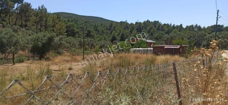 Antalya Kaş Yeşilköy Mahallesinde 3901 M2 Satılık Çiftlik - Görsel 14