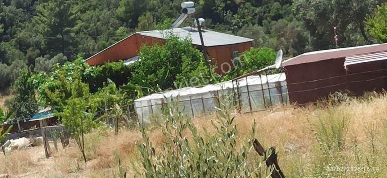Antalya Kaş Yeşilköy Mahallesinde 3901 M2 Satılık Çiftlik - Görsel 8