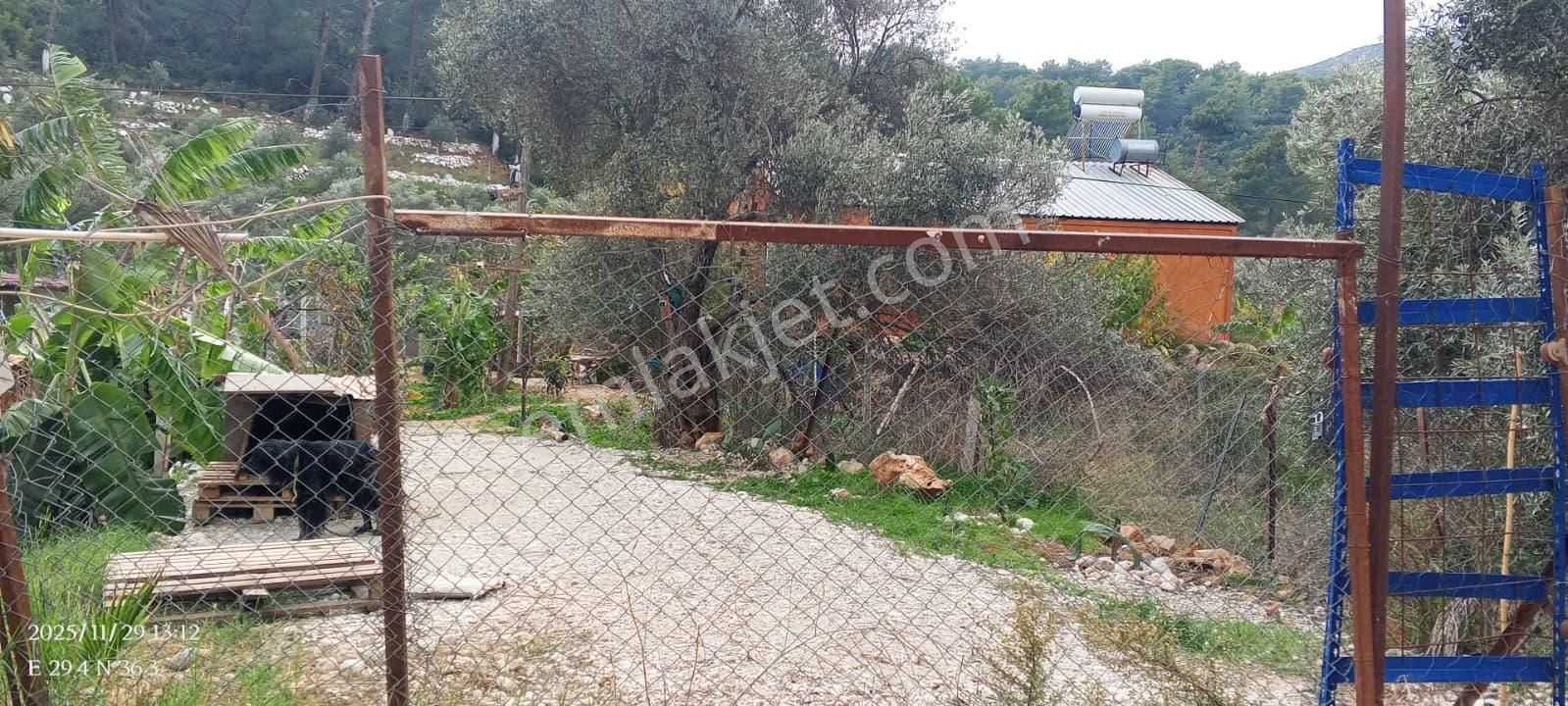 Antalya Kaş Yeşilköy Mahallesinde 3901 M2 Satılık Çiftlik - Görsel 23