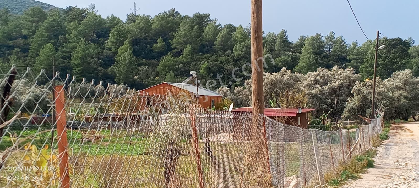 Antalya Kaş Yeşilköy Mahallesinde 3901 M2 Satılık Çiftlik - Görsel 34