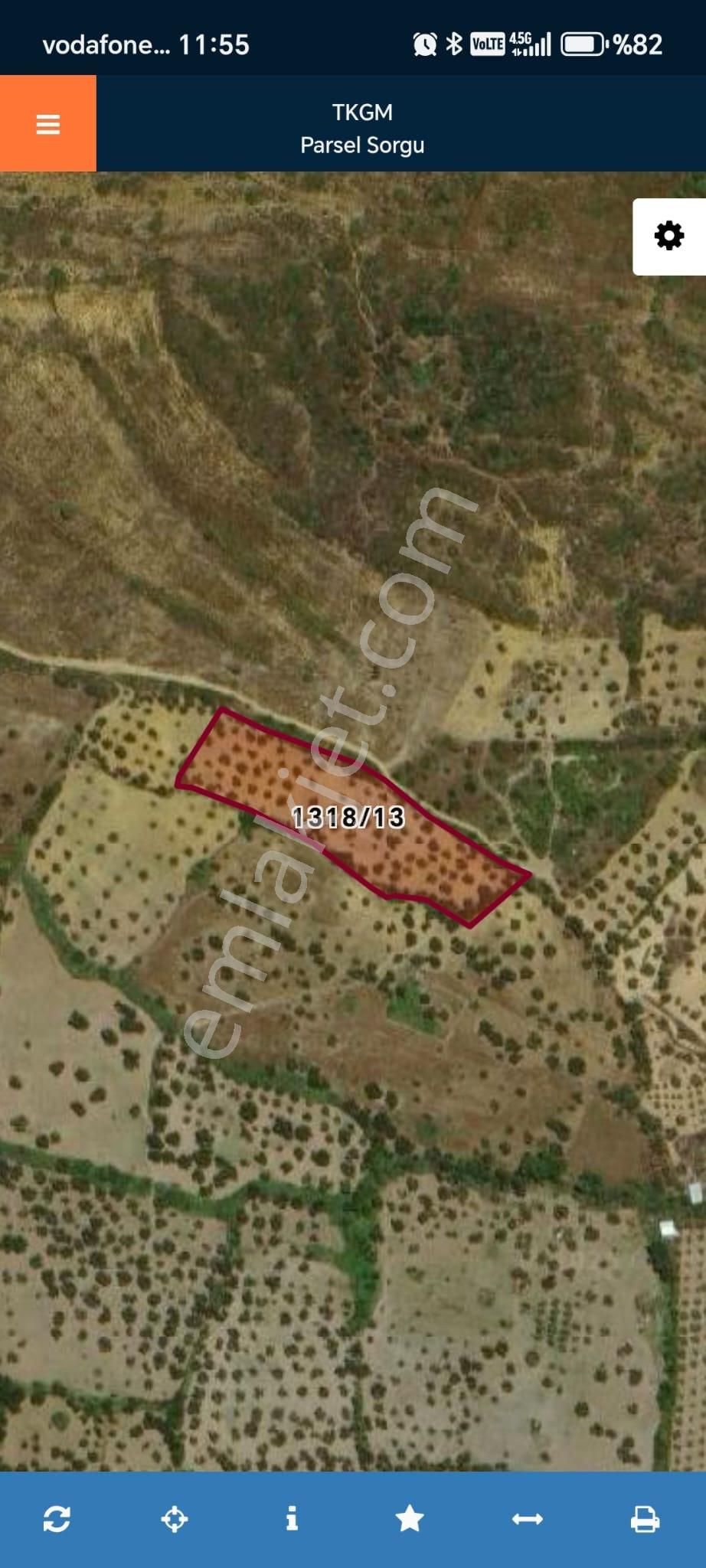 Cunda Adasında Müstakil Parsel 6534 M2 Satılık Zeytinlik