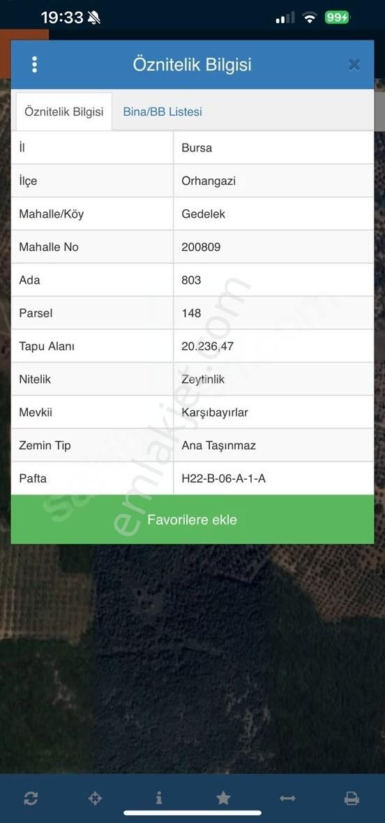 Orhangazi Gedelek Mahallesinde Yatırımlık Zeytinlik - Görsel 4