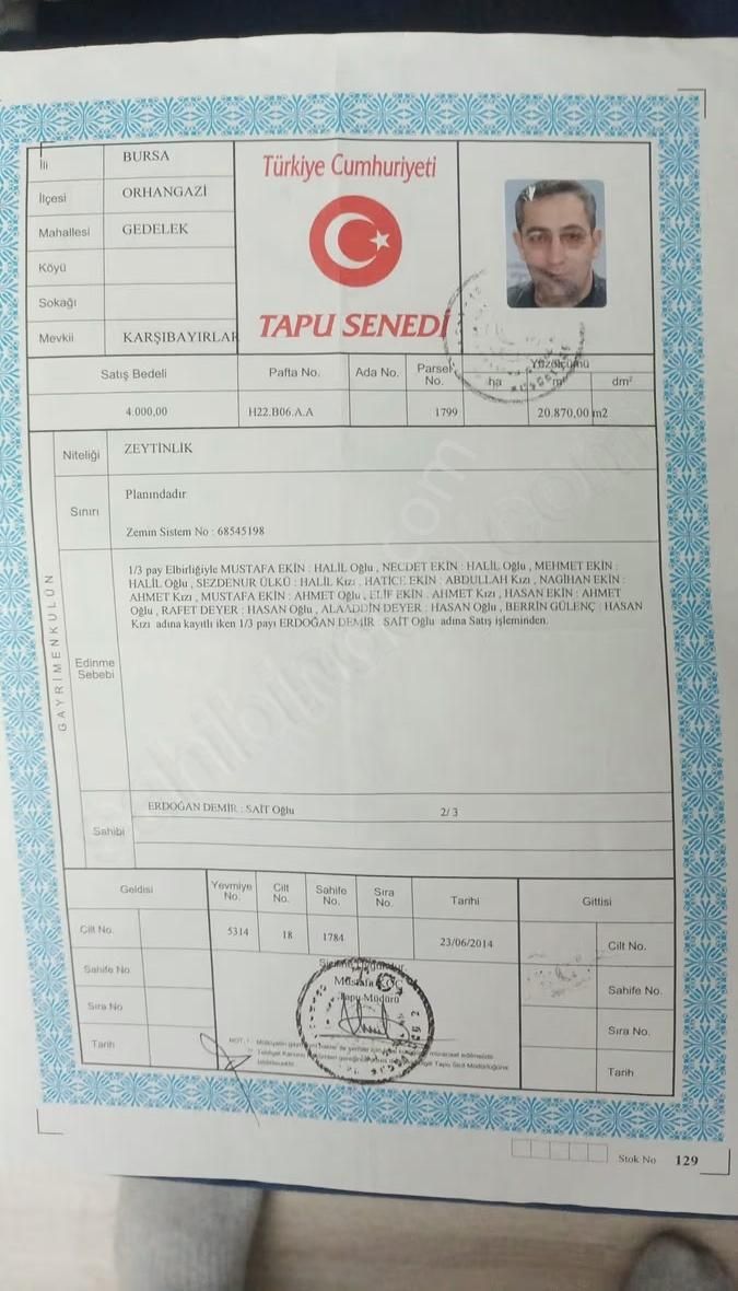 Orhangazi Gedelek Mahallesinde Yatırımlık Zeytinlik - Görsel 15