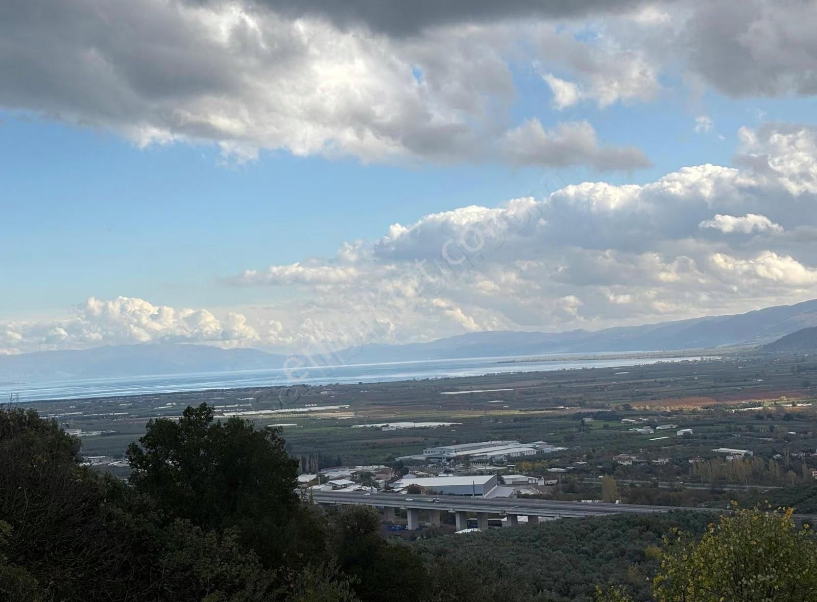 Orhangazi Gedelek Mahallesinde Yatırımlık Zeytinlik - Görsel 5