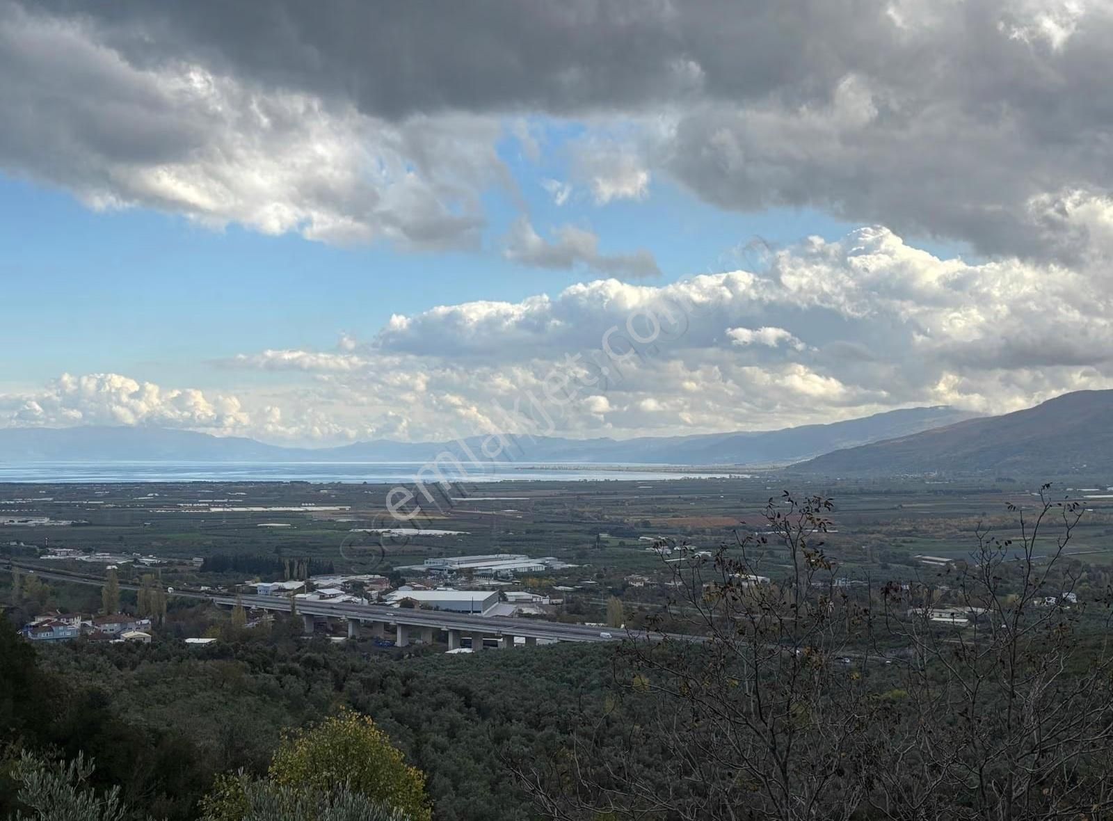 Orhangazi Gedelek Mahallesinde Yatırımlık Zeytinlik