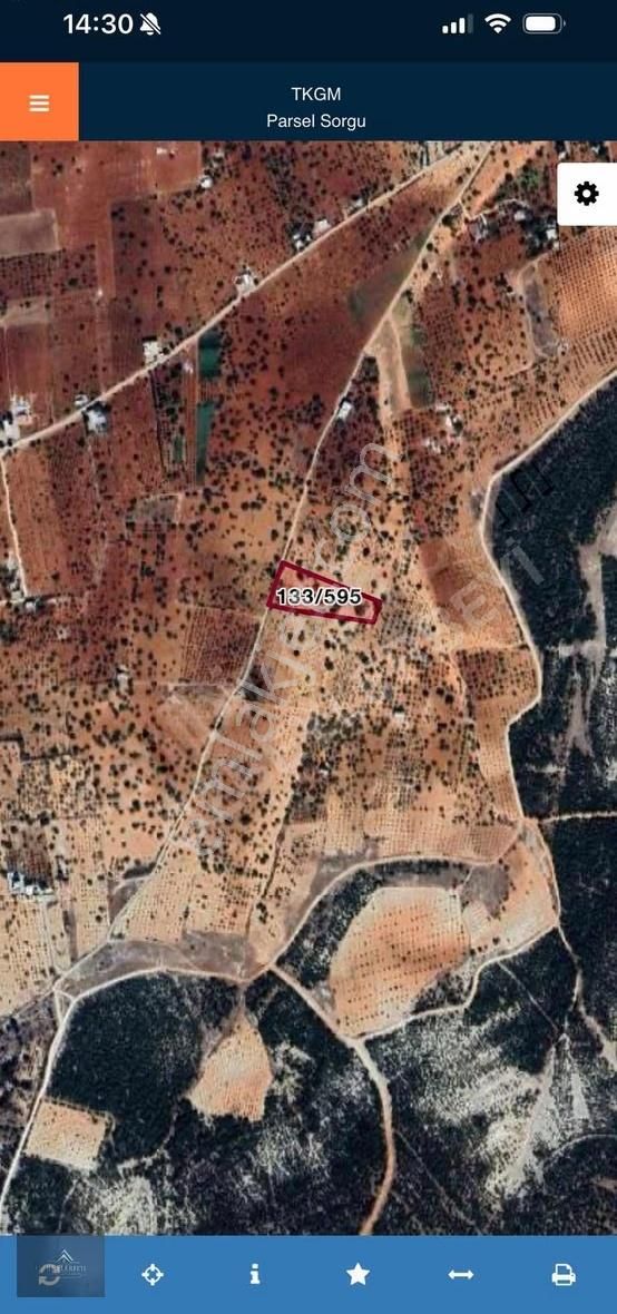 Suboğazından Satlık Yatırımlık Arazi - Görsel 2