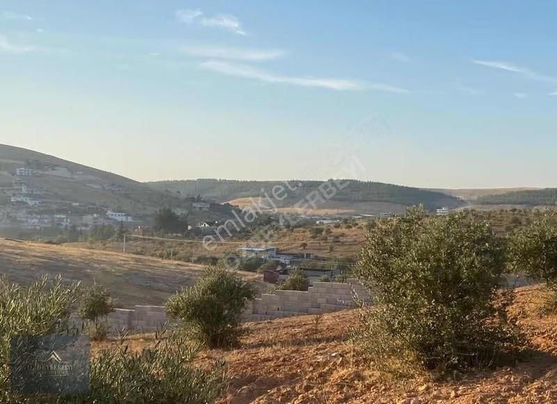 Özbeylerbeyi Gyo'dan Bilek'te Bağ Evlik Uygun Arazi - Görsel 6