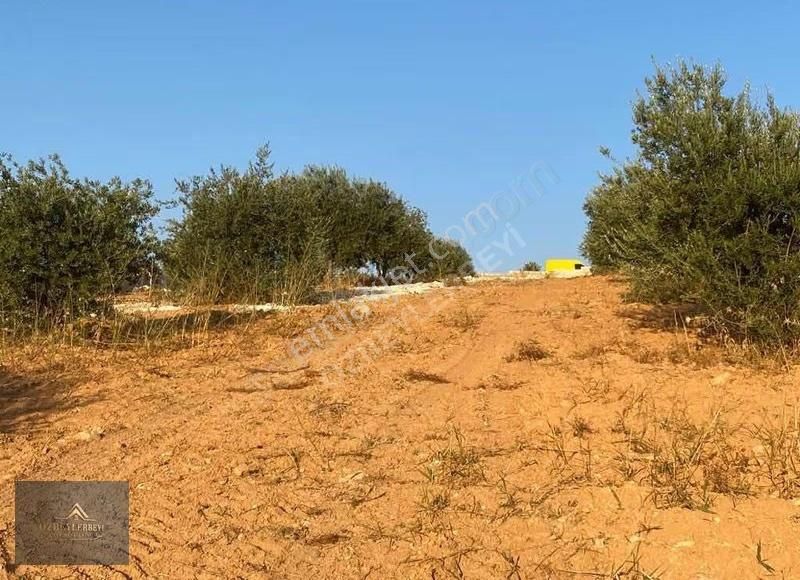 Özbeylerbeyi Gyo'dan Bilek'te Bağ Evlik Uygun Arazi - Görsel 11